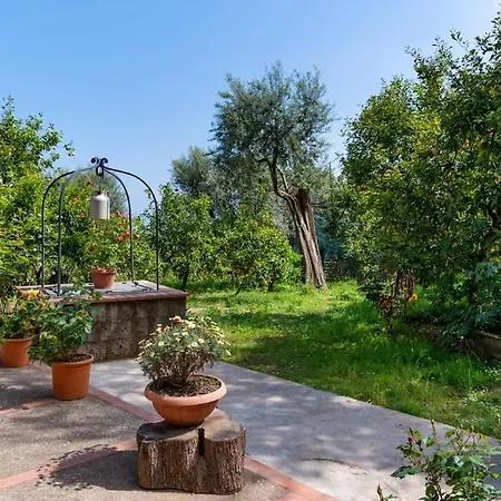 Sorrentovibes - Sea View Rooftop With Jacuzzi & Garden Holiday home