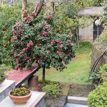 Holiday home Sorrentovibes - Sea View Rooftop With Jacuzzi & Garden *