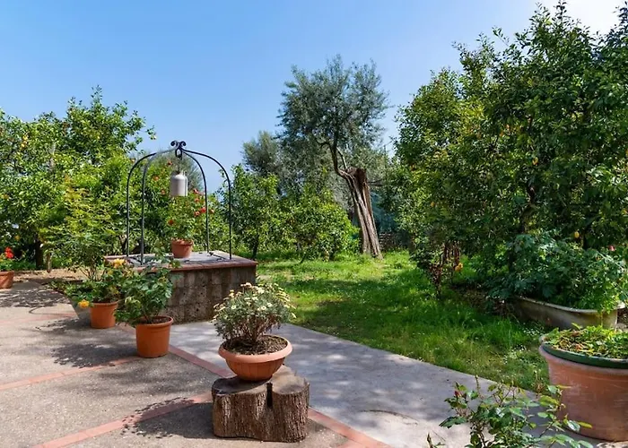Sorrentovibes - Sea View Rooftop With Jacuzzi & Garden Feriehus